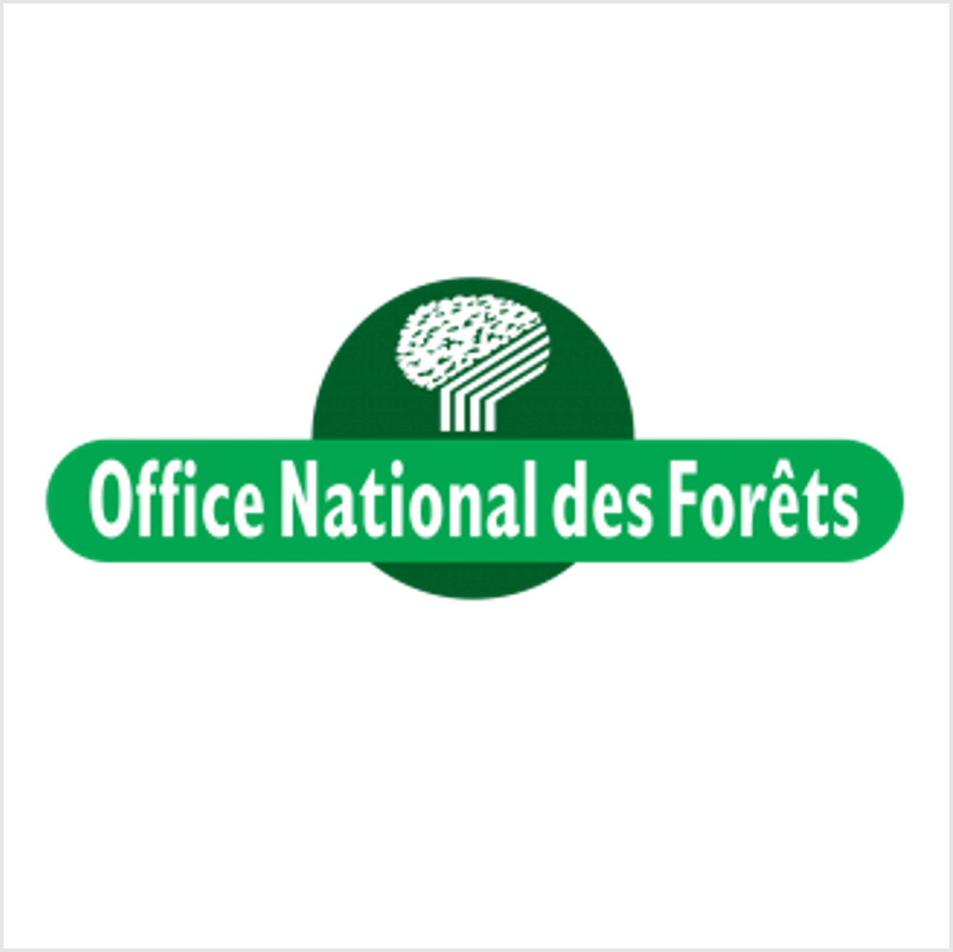 Eric Boban | Calycé Développement